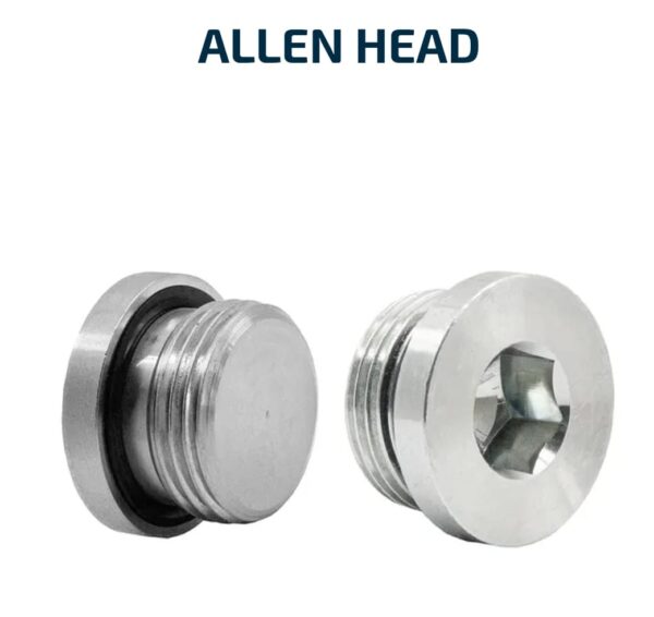 BSPP ALLEN HEAD PLUGS