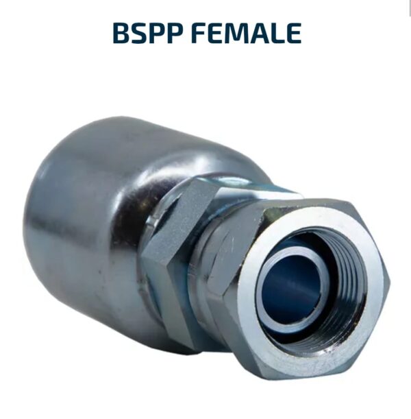 STRAIGHT HOSE TAILS 100R2 BSPP Female