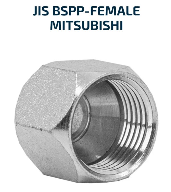 JIS BSPP FEMALE CAPS